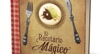 La economía de un país, no es un recetario de cocina escrito por un improvisado