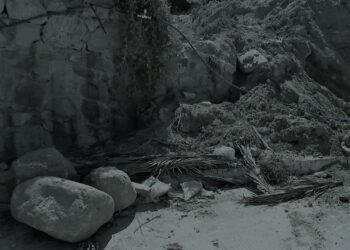 ¿Porqué cada día se desmorona más y más la izquierda del odio caviar?