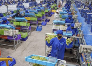 ComexPerú: mercado laboral acumula tres trimestres en negativo, igual que la economía