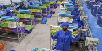 ComexPerú: mercado laboral acumula tres trimestres en negativo, igual que la economía