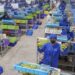 ComexPerú: mercado laboral acumula tres trimestres en negativo, igual que la economía