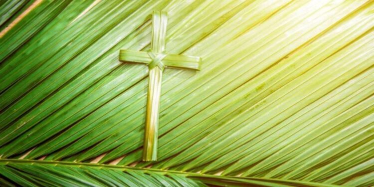 Reflexión para meditar el Domingo de Ramos