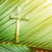 Reflexión para meditar el Domingo de Ramos
