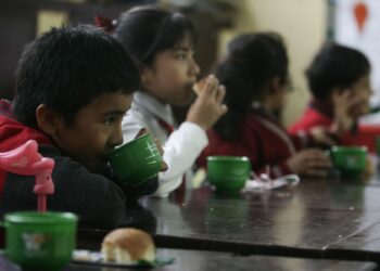 Incompetencia del gobierno: la desnutrición crónica afectó al 11,5% de las niñas y niños menores de cinco años de edad