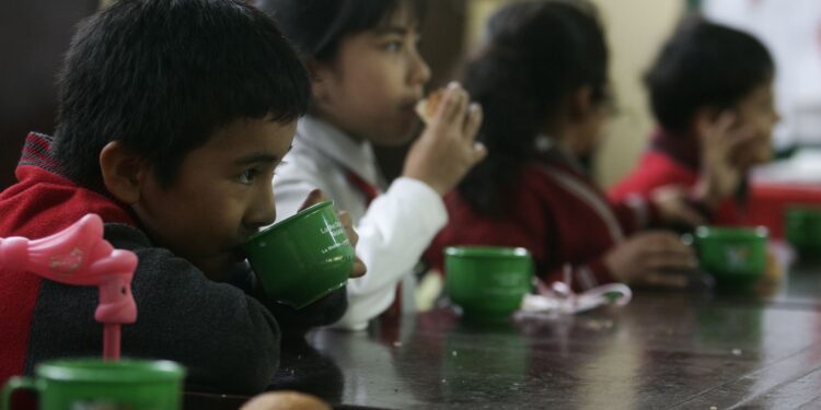 Incompetencia del gobierno: la desnutrición crónica afectó al 11,5% de las niñas y niños menores de cinco años de edad