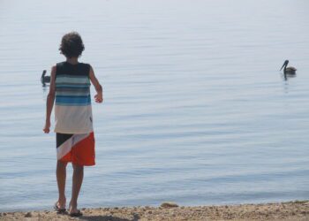 El Papa subrayó que la paciencia no es sólo una “necesidad”, sino “una vocación”