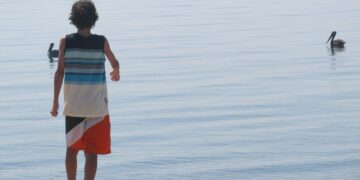 El Papa subrayó que la paciencia no es sólo una “necesidad”, sino “una vocación”