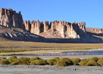 Coyuntura ambiental: ¿Por qué la fiebre del litio genera polémica en América Latina?