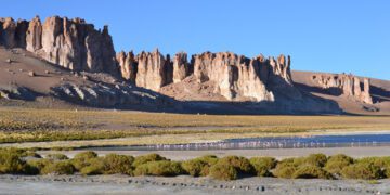 Coyuntura ambiental: ¿Por qué la fiebre del litio genera polémica en América Latina?