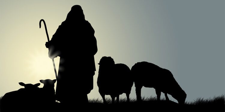 Francisco: Pero, ¿en qué sentido, me pregunto, el pastor da la vida por las ovejas?