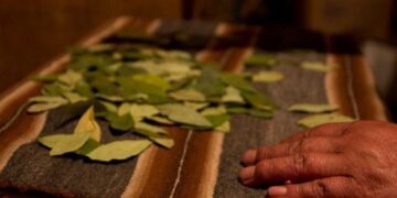 El gran problema de “entender lo que pasa ahora” y lo que viene después