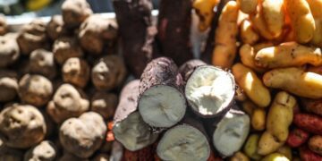 IPC de Lima Metropolitana, sin considerar inflación subyacente se incrementó 0,11% en abril