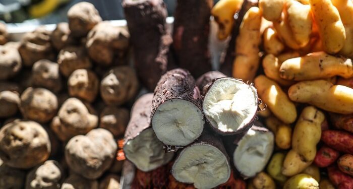 IPC de Lima Metropolitana, sin considerar inflación subyacente se incrementó 0,11% en abril