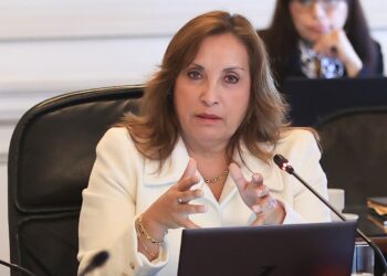 ¿Qué pretende Dina Boluarte desde su actual ubicación política?