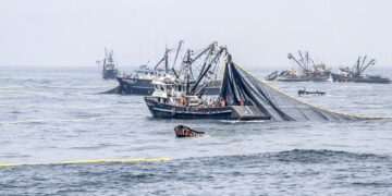 Reserva de Paracas: ¿Restricción de pesca de anchoveta a la flota industrial?