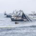Reserva de Paracas: ¿Restricción de pesca de anchoveta a la flota industrial?