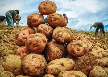 Producción nacional disminuyó 0,28% en marzo de 2024