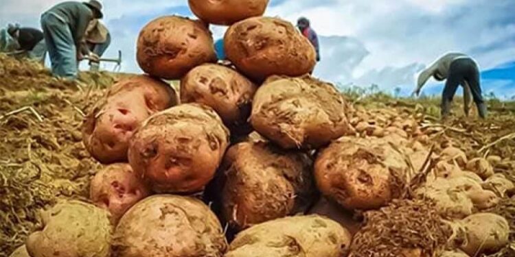 Producción nacional disminuyó 0,28% en marzo de 2024