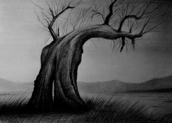 ¿De izquierda? Eres igual que nada, que nadie