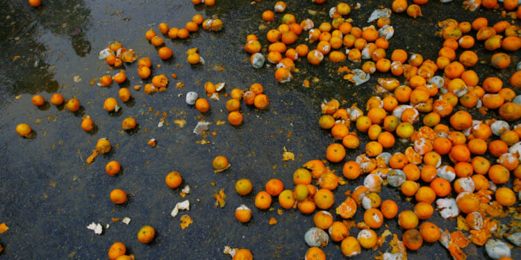 Los defectos que dominan a la izquierda