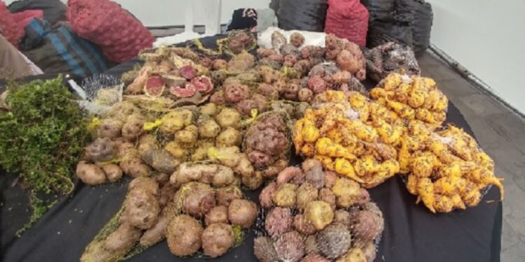 INEI: ingresos recaudados por tributos internos aumentaron 6,4%