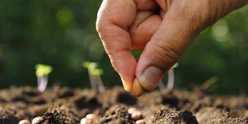 ¿Siembro con confianza la Palabra de Dios en los ambientes en los que vivo?