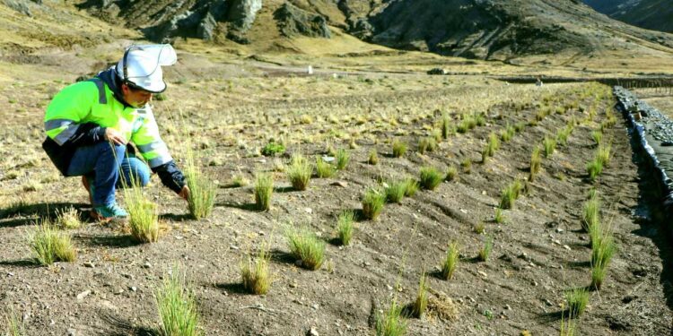 Estrategias sostenibles para gestionar pasivos ambientales mineros