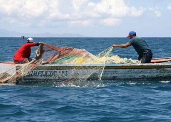 Chile impulsa la pesca artesanal en la agenda global de la FAO
