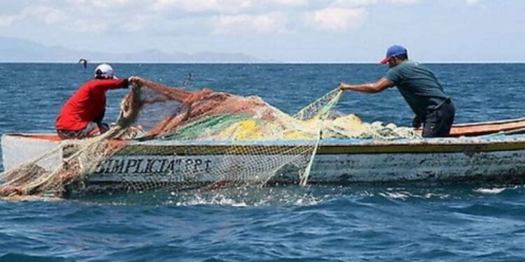Chile impulsa la pesca artesanal en la agenda global de la FAO