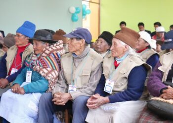 Perú: 4 millones 747 mil 803 adultos mayores representan el 13,9% de la población total