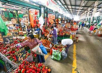 En julio de 2024 los precios al consumidor de Lima Metropolitana se incrementaron 0,24%