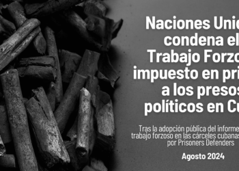 ONU acusa al Estado Cubano por imponer Trabajo Forzoso a aquellos ciudadanos que “expresan opiniones políticas”