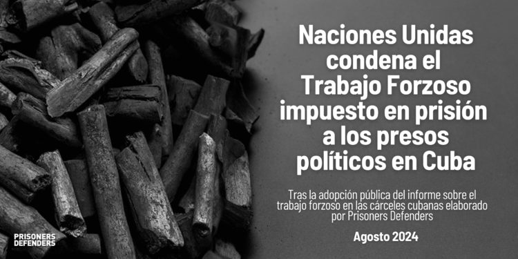 ONU acusa al Estado Cubano por imponer Trabajo Forzoso a aquellos ciudadanos que “expresan opiniones políticas”