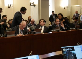 OEA: Enfrenta uno de sus mayores retos con el caso Venezuela