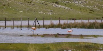 AMSAC impulsa buenas prácticas de gestión ambiental en coloquio anual 2024