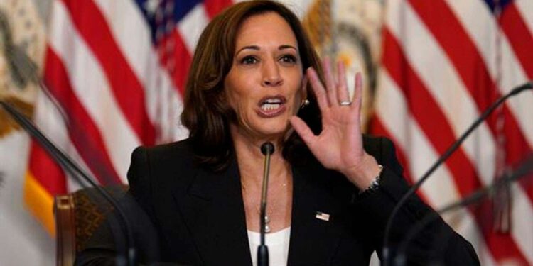Kamala Harris: esto es lo que sabemos de la candidata demócrata a la Casa Blanca