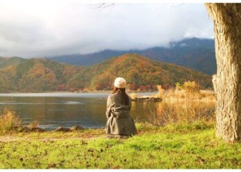 La Tasa de interés, la Bolsa, la Nvidia y el Oro