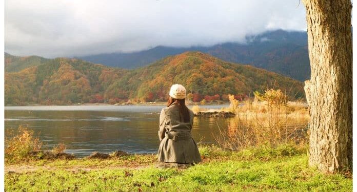 La Tasa de interés, la Bolsa, la Nvidia y el Oro