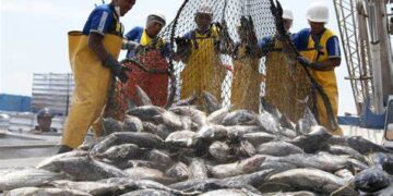 Sector Pesca aumentó 14,86% en julio de 2024 y sumó cuatro meses de crecimiento consecutivo