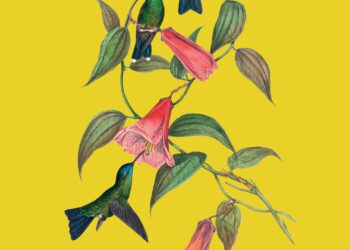 Pájaros y luciérnagas. Pensamientos y aforismos