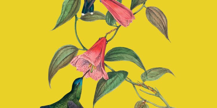 Pájaros y luciérnagas. Pensamientos y aforismos