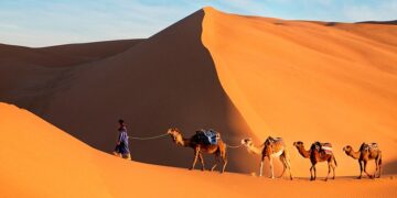 Los ideales en las organizaciones: la empresa no está condenada a ser un desierto existencial