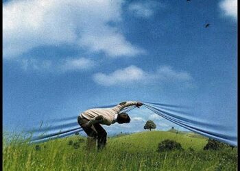 Francisco: “No se olviden de este principio, la realidad es superior a la idea”