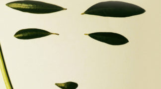 Un mapa para orientarse en la vida: “Una guía para los perplejos”