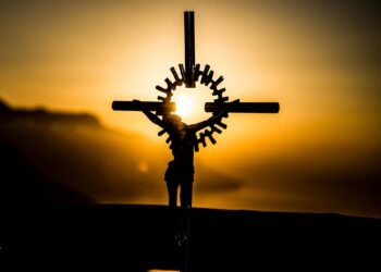 Arzobispo de Sídney: “No podemos reinventar la fe católica, ni enseñar catolicismo diferente en cada país”