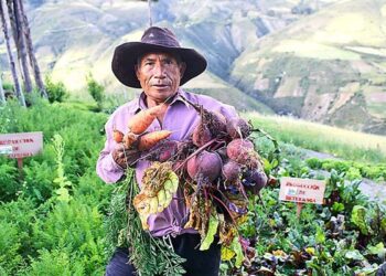 Producto Bruto Interno creció 3,8% en el tercer trimestre de 2024
