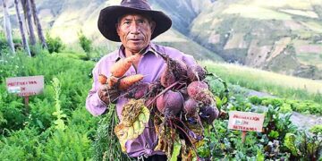 Producto Bruto Interno creció 3,8% en el tercer trimestre de 2024