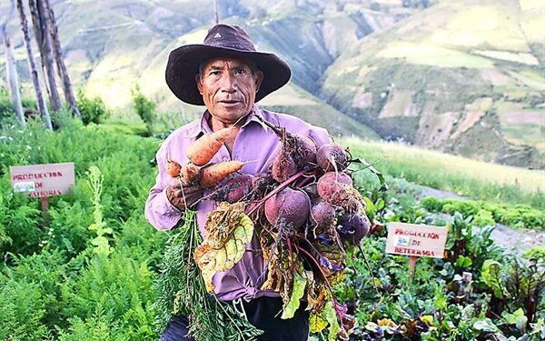 Producto Bruto Interno creció 3,8% en el tercer trimestre de 2024