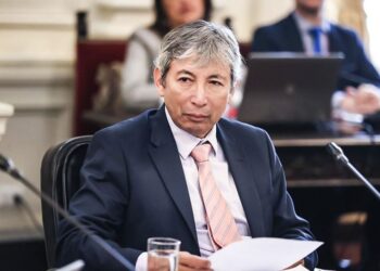 Arista en el MEF: camaleón que no debe continuar