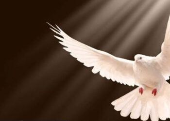 Francisco: “Los carismas son dones del Espíritu para la unidad y el servicio”